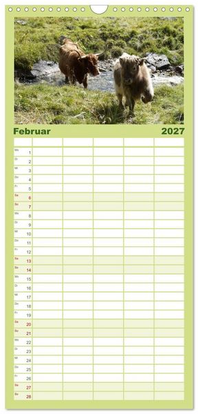 Produktbild: Familienplaner 2027 - K&uuml;he mit H&ouml;rnern mit 5 Spalten (Wandkalender, 21 x 45 cm) CALVENDO