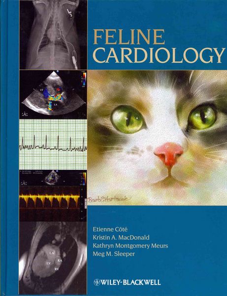 Produktbild: Feline Cardiology