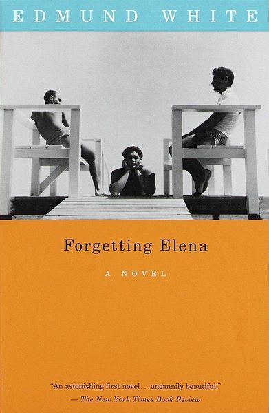 Produktbild: Forgetting Elena