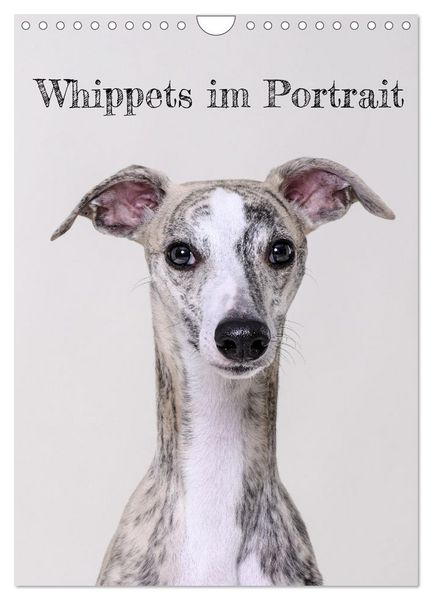 Whippets im Portrait (Wandkalender 2026 DIN A4 hoch), CALVENDO Monatskalender