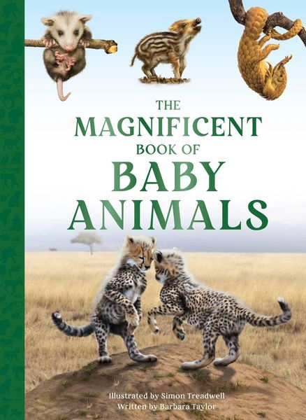 Produktbild: The Magnificent Book of Baby Animals
