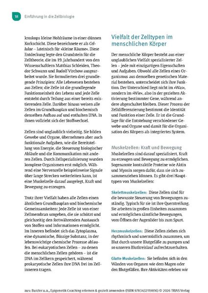 Produktbild: Epigenetik-Coaching erlernen & gezielt anwenden