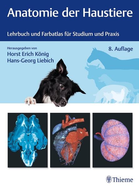 Produktbild: Anatomie der Haustiere