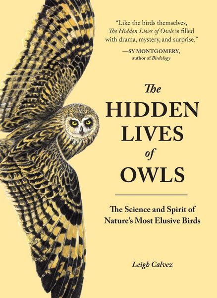 Produktbild: The Hidden Lives of Owls