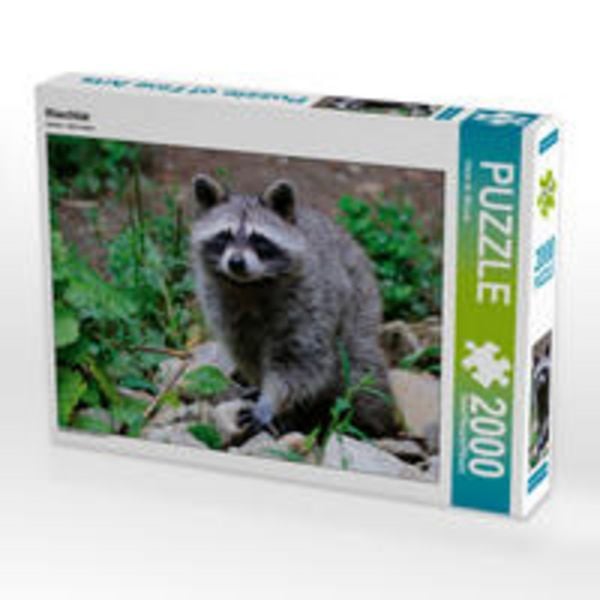 CALVENDO Puzzle Waschbär | 2000 Teile Lege-Größe 90 × 67 cm Foto-Puzzle für glückliche Stunden