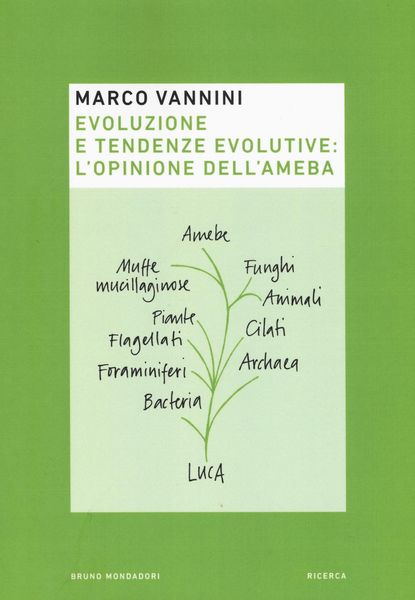 Produktbild: Evoluzione e tendenze evolutive: l'opinione dell'ameba