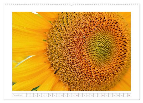 Produktbild: Sonnentage 2027 (hochwertiger Premium Wandkalender 2027 DIN A2 quer), Kunstdruck in Hochglanz