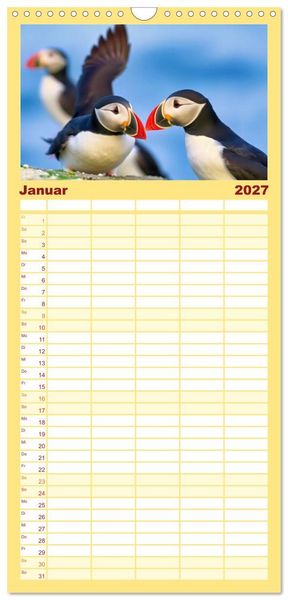 Produktbild: Familienplaner 2027 - Tieftaucher Papageitaucher mit 5 Spalten (Wandkalender, 21 x 45 cm) CALVENDO