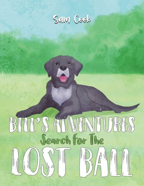 Produktbild: Bill's Adventures