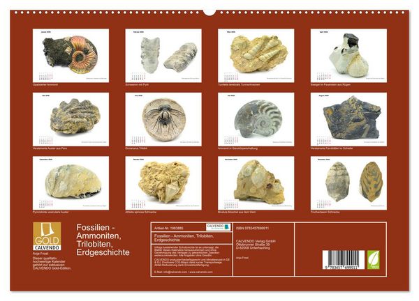 Produktbild: Fossilien - Ammoniten, Trilobiten, Erdgeschichte (hochwertiger Premium Wandkalender 2026 DIN A2 quer), Kunstdruck in Hochglanz