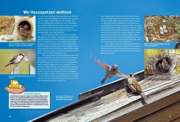 Produktbild: Entdecke die Spatzen