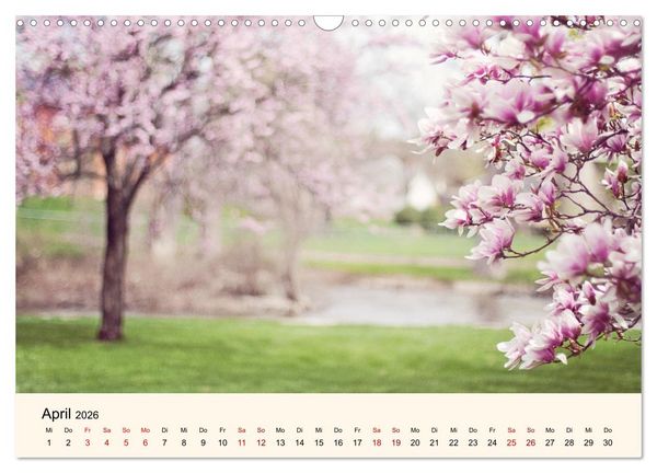 Produktbild: Die Jahreszeiten. Magie des Wandels (Wandkalender 2026 DIN A3 quer), CALVENDO Monatskalender