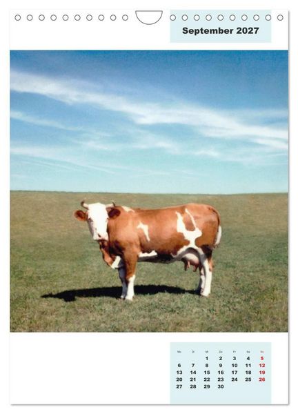 Produktbild: Blaues Land (Wandkalender 2027 DIN A4 hoch), CALVENDO Monatskalender