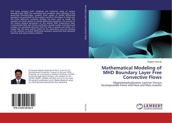 Produktbild: Mathematical Modeling of MHD Boundary Layer Free Convective Flows