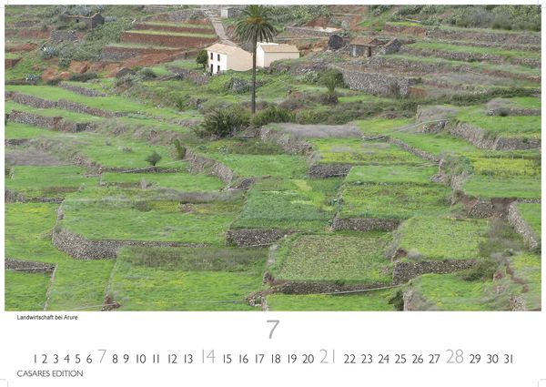 Produktbild: La Gomera 2024 L 35x50cm