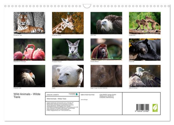 Produktbild: Wild Animals - Wilde Tiere (Wandkalender 2026 DIN A3 quer), CALVENDO Monatskalender