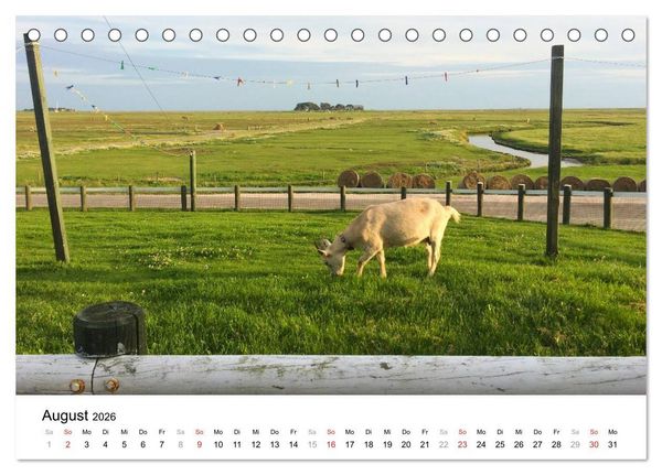 Produktbild: Hallig Hooge - zwischen Himmel und Erde (Tischkalender 2026 DIN A5 quer), CALVENDO Monatskalender