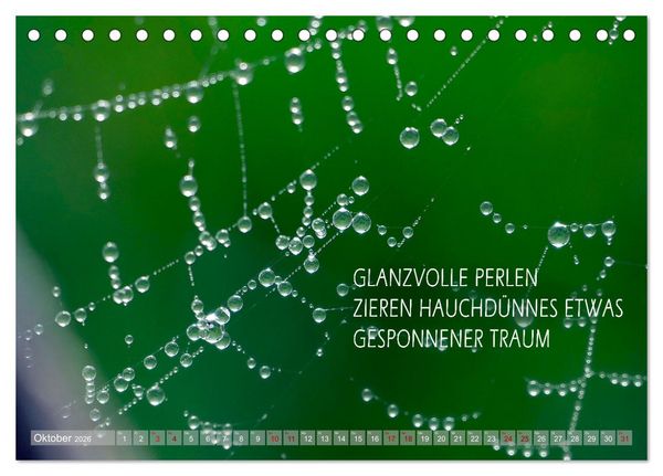 Produktbild: Haiku Poesie in Wort und Bild (Tischkalender 2026 DIN A5 quer), CALVENDO Monatskalender