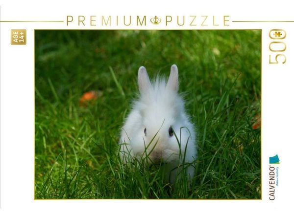 CALVENDO Puzzle Weißes Zwergkaninchen Baby im Grünen | 500 Teile Lege-Größe 48 × 36 cm Foto-Puzzle für Erwachsene