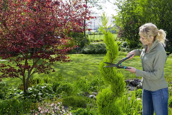 Produktbild: GARDENA PrecisionCut Hand Heckenschere