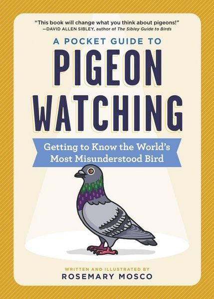 Produktbild: A Pocket Guide to Pigeon Watching