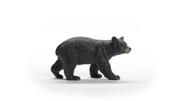 Produktbild: schleich&reg; Wild Life Amerikanischer Schwarzb&auml;r 5,5cm