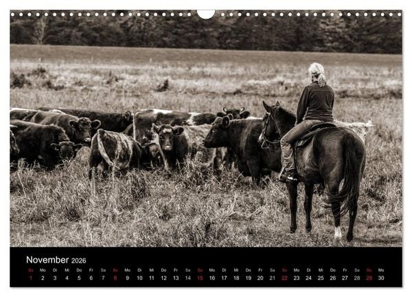 Produktbild: Westernreiten (Wandkalender 2026 DIN A3 quer), CALVENDO Monatskalender