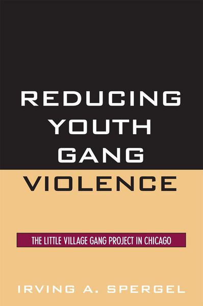 Produktbild: Reducing Youth Gang Violence