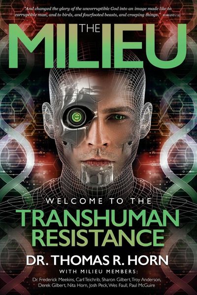 Produktbild: The Milieu