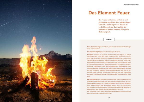 Produktbild: Die 5 Elemente der TCM und die Heilkraft unserer heimischen Kr&auml;uter