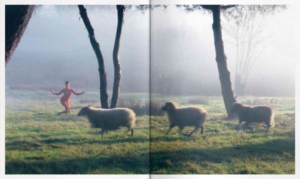 Produktbild: Animalia