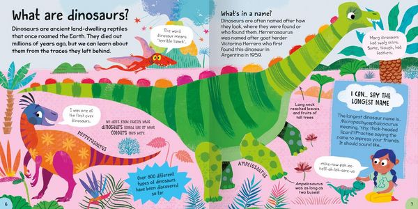 Produktbild: First Dinosaur Book