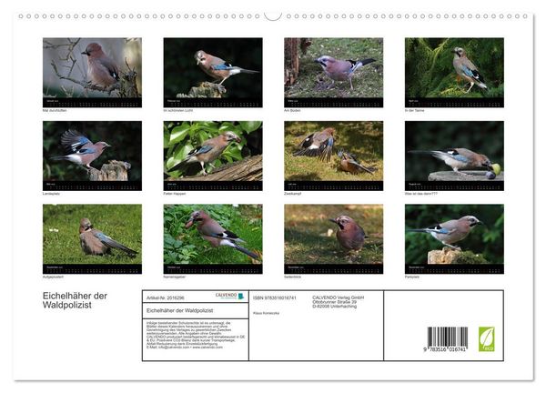 Produktbild: Eichelh&auml;her der Waldpolizist (hochwertiger Premium Wandkalender 2026 DIN A2 quer), Kunstdruck in Hochglanz