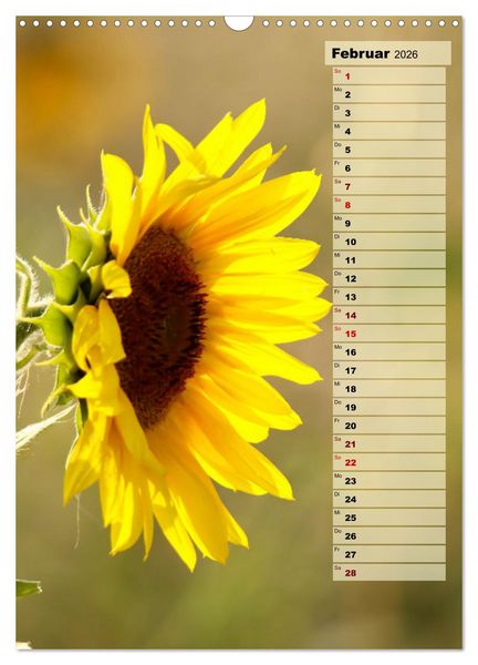 Produktbild: Leuchtende Sonnenblumen, sonnige Aussichten das ganze Jahr (Wandkalender 2026 DIN A3 hoch), CALVENDO Monatskalender