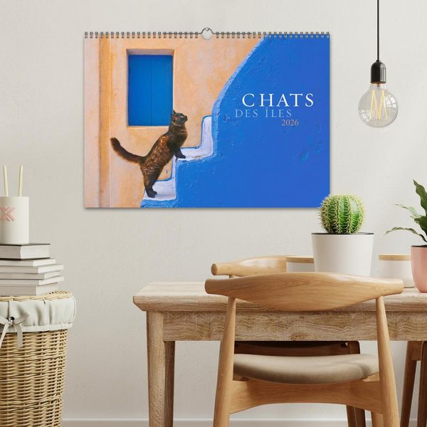 Produktbild: Chats des &icirc;les (Calendrier mural 2026 DIN A3 vertical), CALVENDO calendrier mensuel