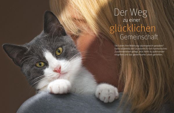 Produktbild: Wohnungskatzen