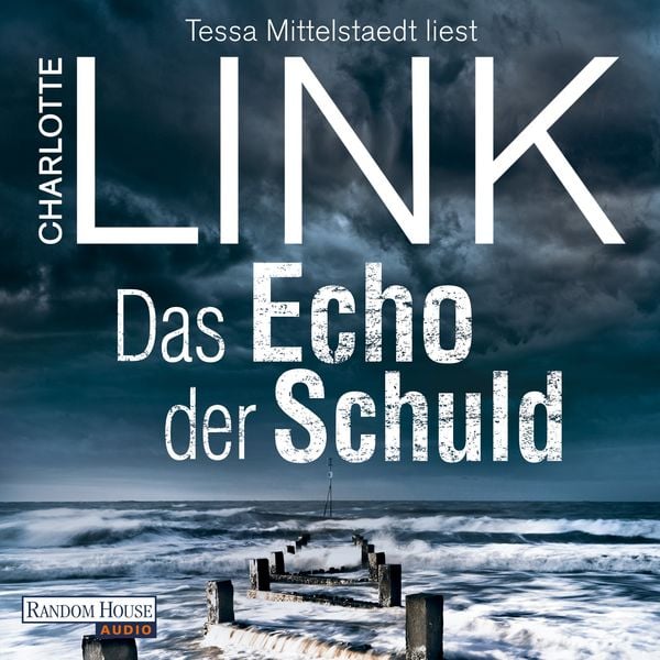 Produktbild: Das Echo der Schuld