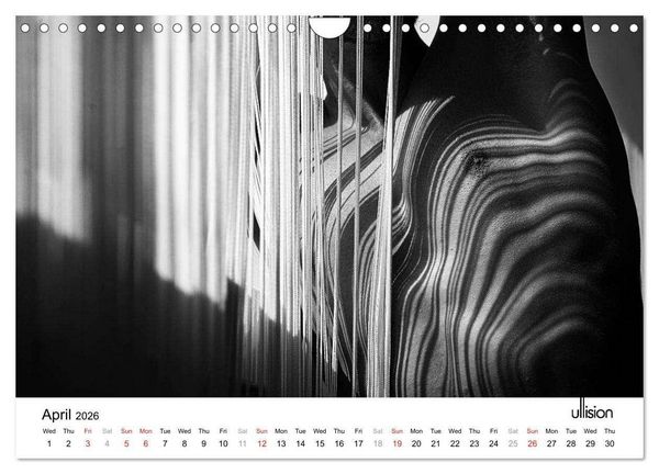 Produktbild: Male Nude Art (Wall Calendar 2026 DIN A4 landscape), CALVENDO 12 Month Wall Calendar