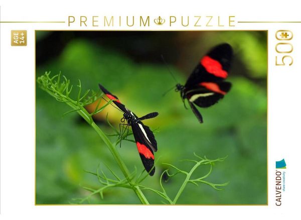 CALVENDO Puzzle Heliconius-Falter | 500 Teile Lege-Größe 48 × 36 cm Foto-Puzzle für Erwachsene