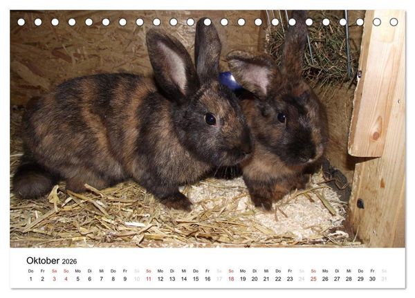 Produktbild: Bauernhoftiere (Tischkalender 2026 DIN A5 quer), CALVENDO Monatskalender