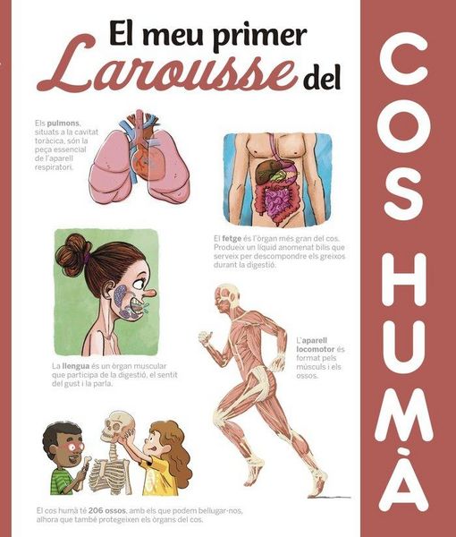 Produktbild: El meu primer Larousse del cos hum&agrave;