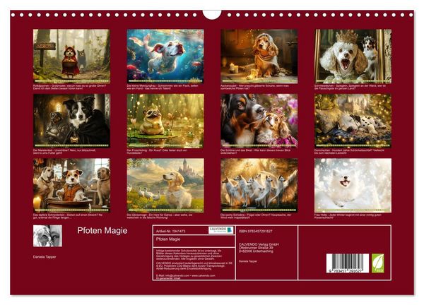 Produktbild: Pfoten Magie (Wandkalender 2026 DIN A3 quer), CALVENDO Monatskalender