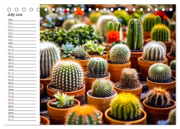 Produktbild: Cacti Wonderland (Desk Calendar 2026 DIN A5 landscape), CALVENDO 12 Month DeskCalendar