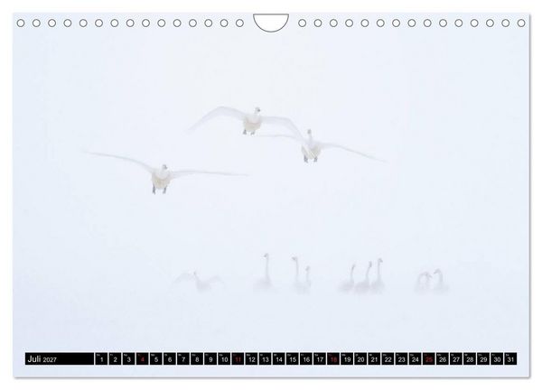 Produktbild: Japanische Vogelwelt im Winter (Wandkalender 2027 DIN A4 quer), CALVENDO Monatskalender