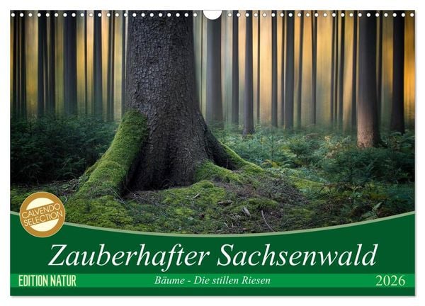 Produktbild: Zauberhafter Sachsenwald (Wandkalender 2026 DIN A3 quer), CALVENDO Monatskalender