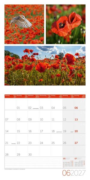 Produktbild: Colours of Nature Kalender 2027 - 30x30 - Art12