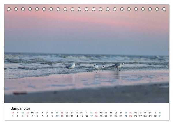 Produktbild: Lichtstimmungen in Sankt Peter-Ording (Tischkalender 2026 DIN A5 quer), CALVENDO Monatskalender