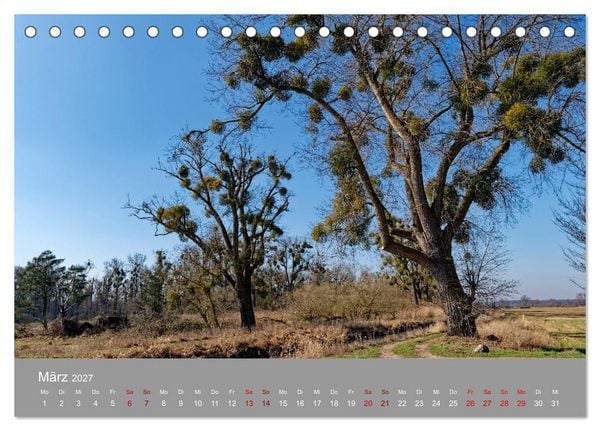 Produktbild: Naturerlebnis im Biosph&auml;renreservat Dr&ouml;mling (Tischkalender 2027 DIN A5 quer), CALVENDO Monatskalender