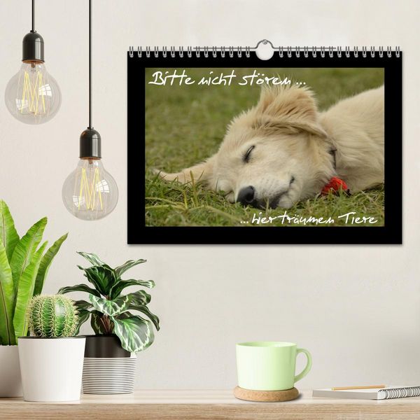 Produktbild: Bitte nicht st&ouml;ren... hier tr&auml;umen Tiere (Wandkalender 2026 DIN A4 quer), CALVENDO Monatskalender