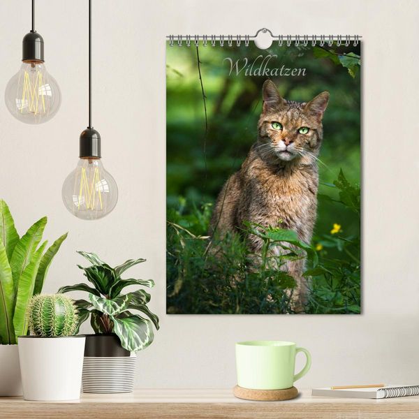 Produktbild: Wildkatzen - scheue J&auml;ger (Wandkalender 2026 DIN A4 hoch), CALVENDO Monatskalender
